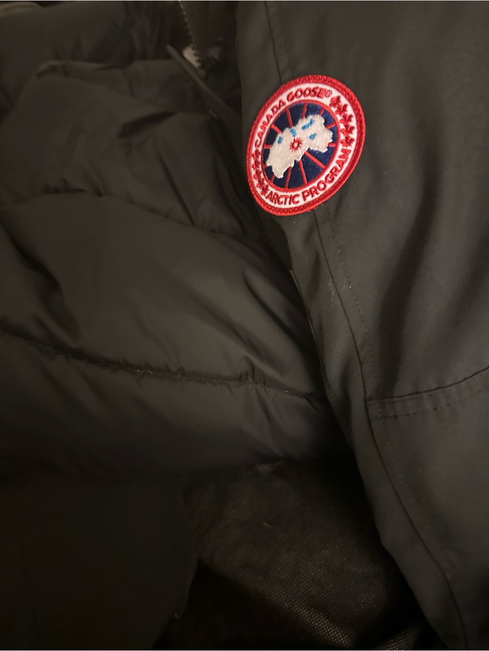 Canada Goose Kids Black Puffer Jacket with Signature Patch
